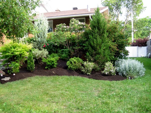 [frontyard90done[4].jpg]