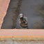 La Guia - Partida día 10/07/2010