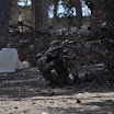 dsc0425vb.jpg
