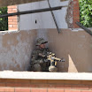 dsc0428q.jpg