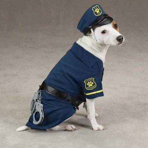 [police20dog_1[2].jpg]