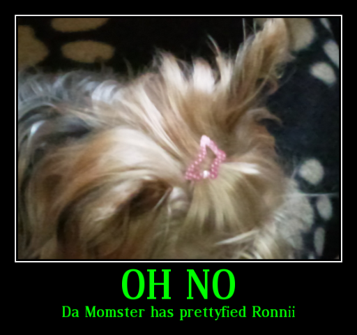 [lunapic_130204653925324_3[6].png]