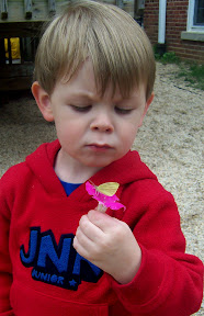 Child closely examines a Cabbage White butterfly