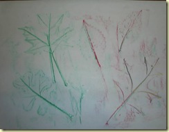 crayon leaves