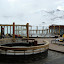 DSC04401.JPG