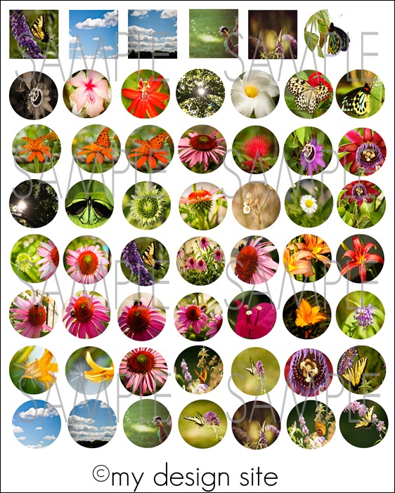 Nature-Graphic-Sheet2-SAMPL