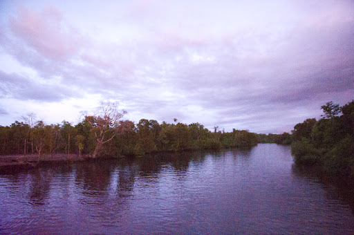 IMAGE: http://lh3.ggpht.com/_-WVdbQVNaK0/TG3mX7nif6I/AAAAAAAAC5g/SPNkMbNbxrw/_DSC2736.jpg