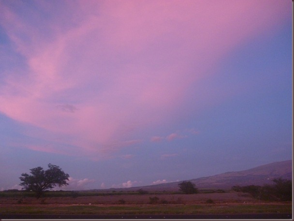 Pink Drive Home 24