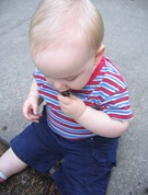IMG_4509 IMG_4509