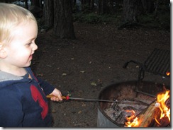 IMG_2359 IMG_2359