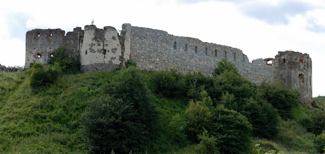 Пнівський замок