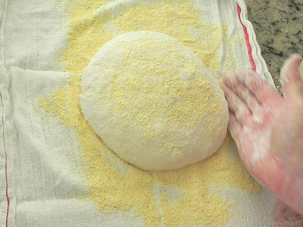 [bread6[11].jpg&description=No Need to Knead Bread!')]