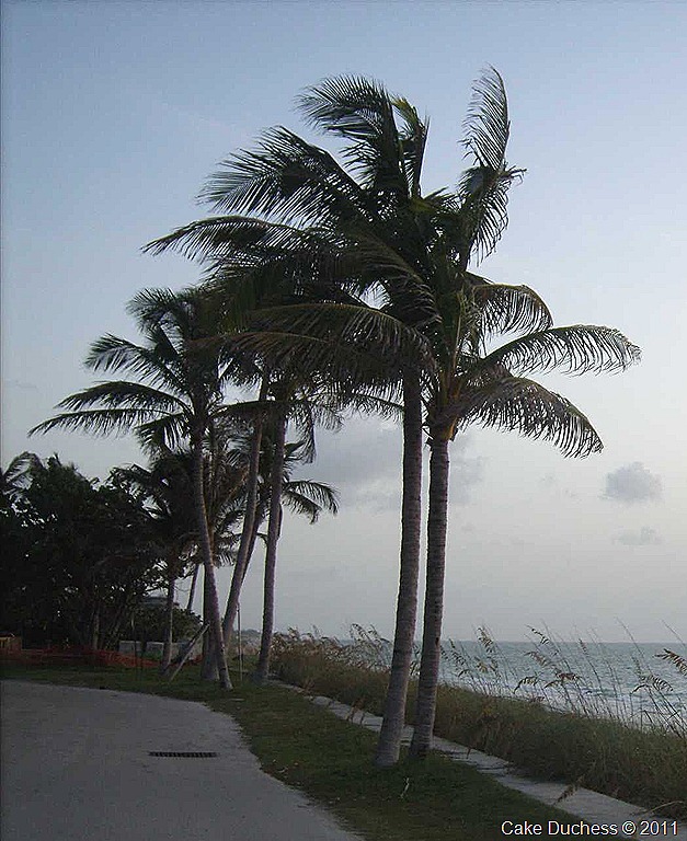 [Imported Photos 01908[13].jpg&description=A Peaceful Sunday')]