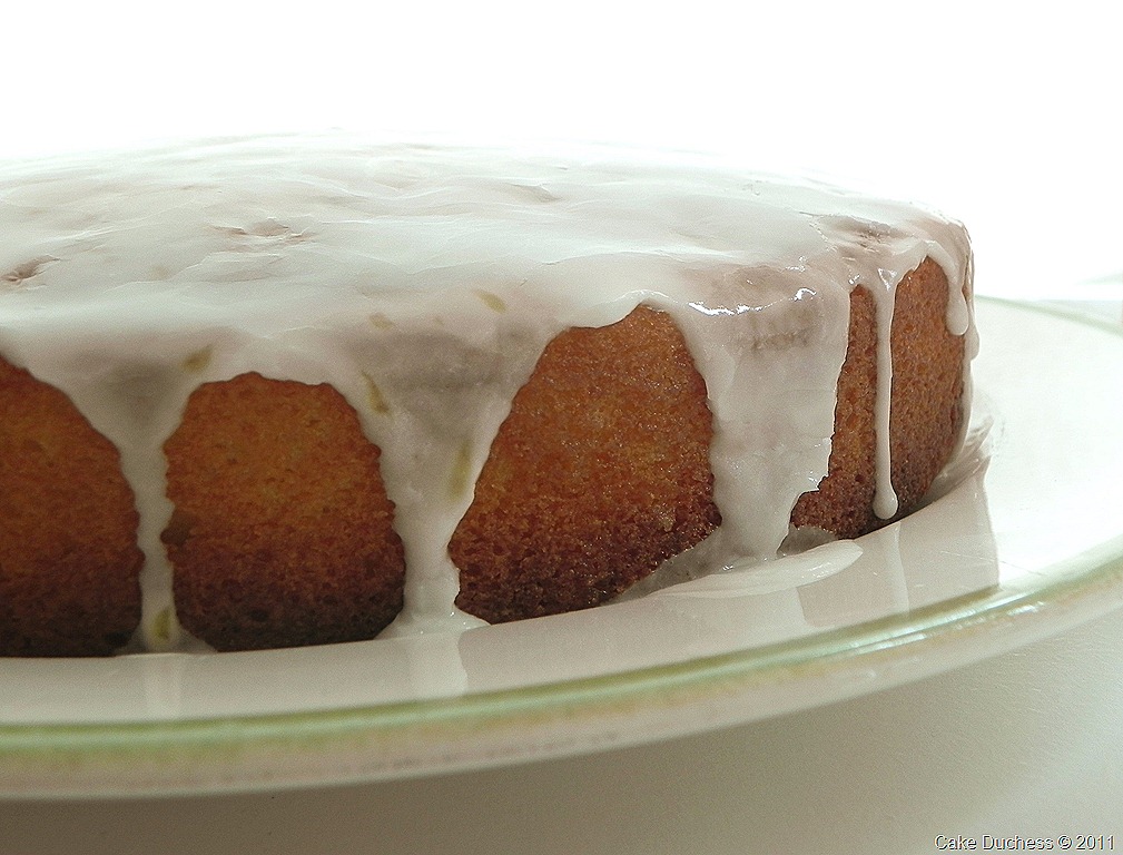 [lemonyogurt2[8].jpg]