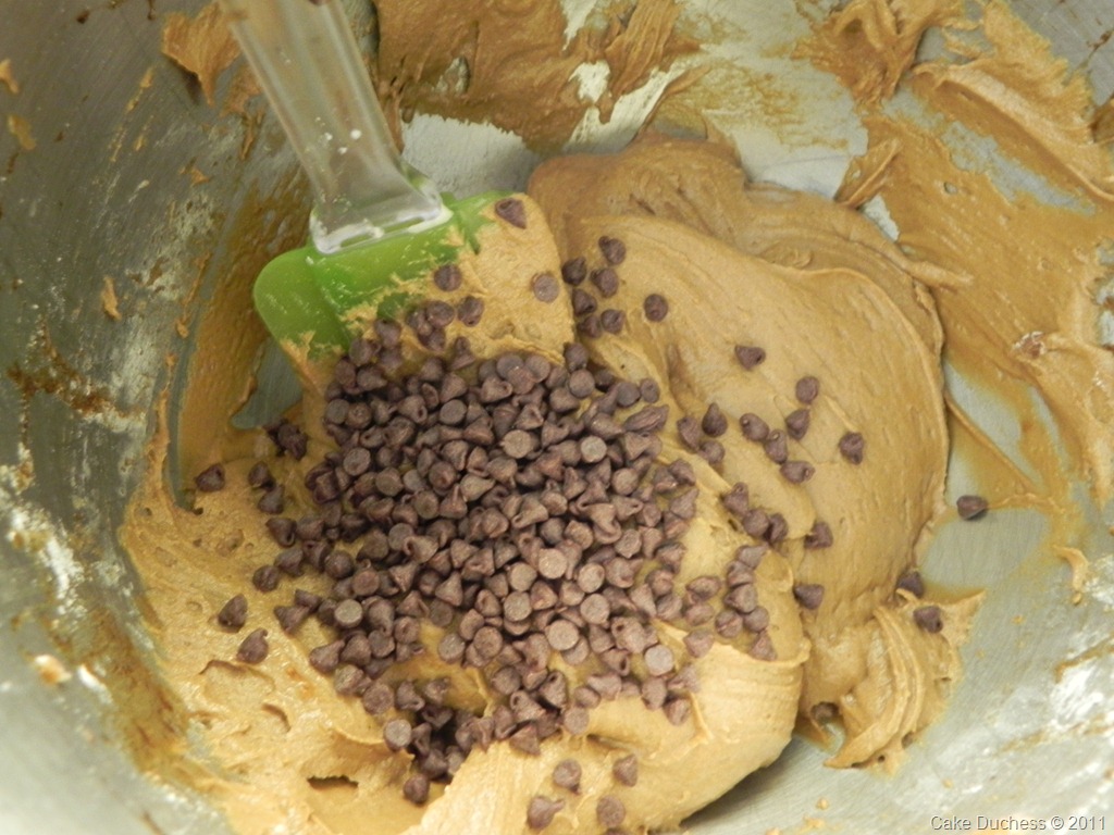 [DSCN7559[6].jpg&description=Chewy Molasses and Chocolate Chip Bites and My Groove')]
