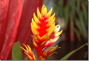 DSC_5521 DSC_5521