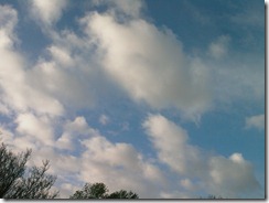 IMAG0179 IMAG0179