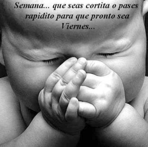 [viernesporfavooorrr[6].jpg]