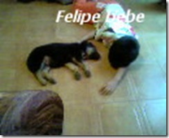 felipebebe2 felipebebe2
