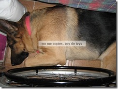 felipe- felipe-