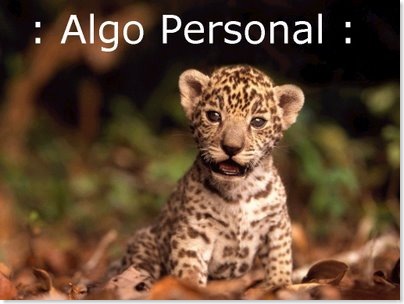 ALGO PERSONAL 04