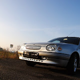 twCRW_2667.jpg