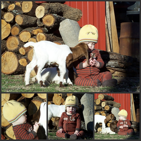 [Picnikcollage133.png]
