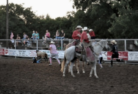 RODEO 305
