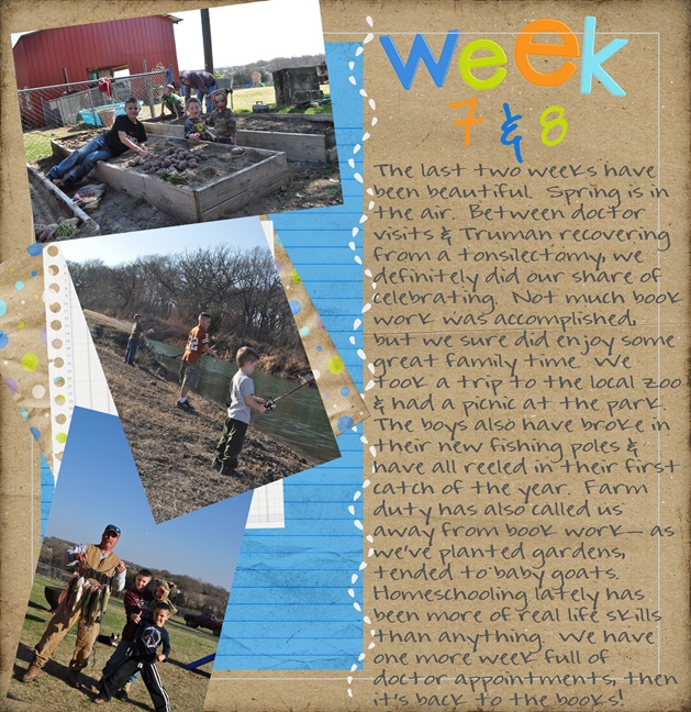 wk 7 & 8 copy