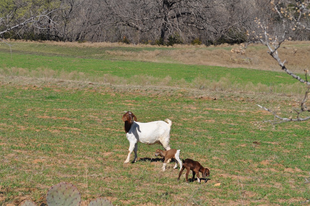 [DSC_0021[5].jpg]