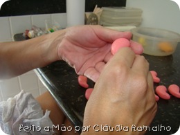 docinho_de_leite_ninho 056 docinho_de_leite_ninho 056