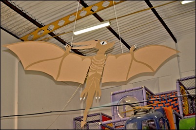 Pterod íctilo de madeira (foto de Xelito)