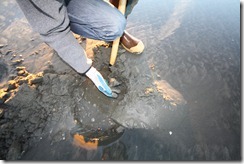 IMG_8755 IMG_8755
