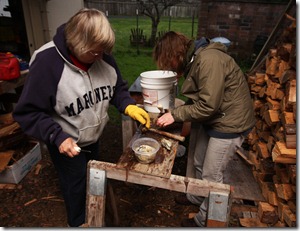 shucking