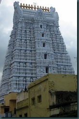 govindarajaswamy temple