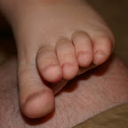 Piggies.