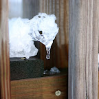 snow skeleton
