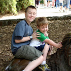 Safe Lion Rides