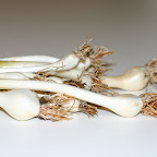 First garlic harvest ready for curing.