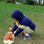 Softing the Kitty