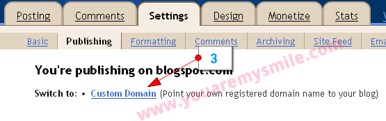 [blogger-custom-domain3[2].png]