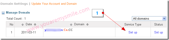 blogger-custom-domain-cocc1