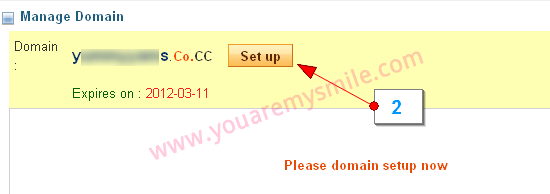 [blogger-custom-domain-cocc2[2].png]