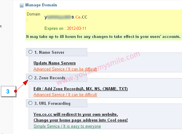 [blogger-custom-domain-cocc3[3].png]