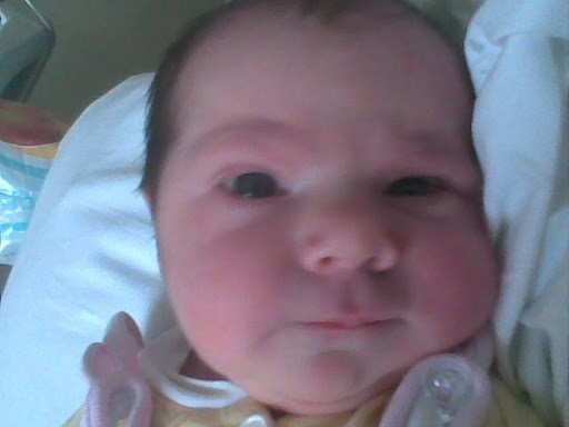 http://lh3.ggpht.com/_-dbRL_-oKGc/TJrzqoDWxcI/AAAAAAAAAos/vPRR05oAU5k/Zdj_cie031.jpg