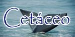 Cetáceo