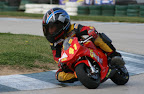 marc 3.jpg