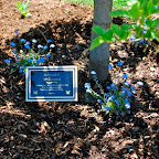 memorial-garden.jpg