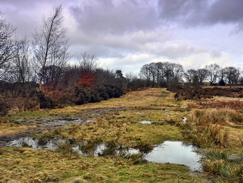 [Oswestry old racecourse[5].jpg]