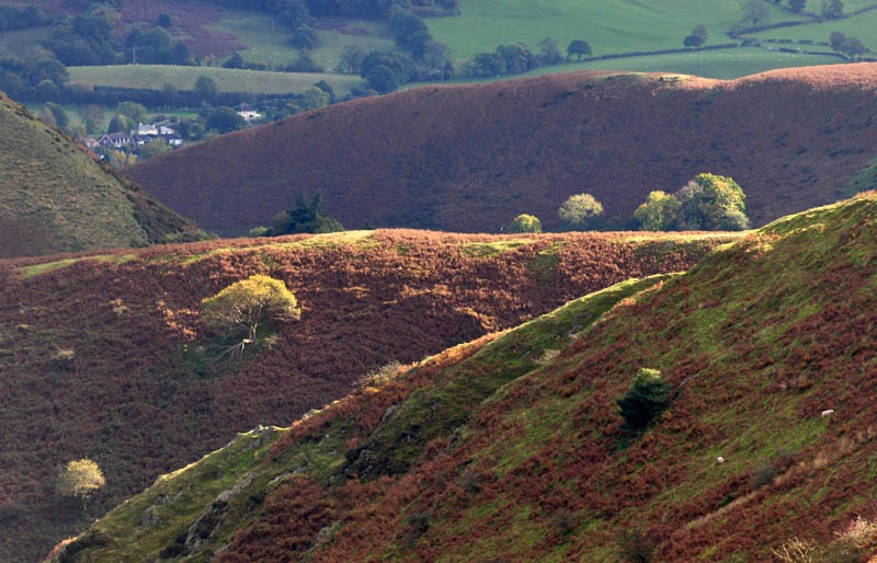 [Sunlight on the ridges[3].jpg]